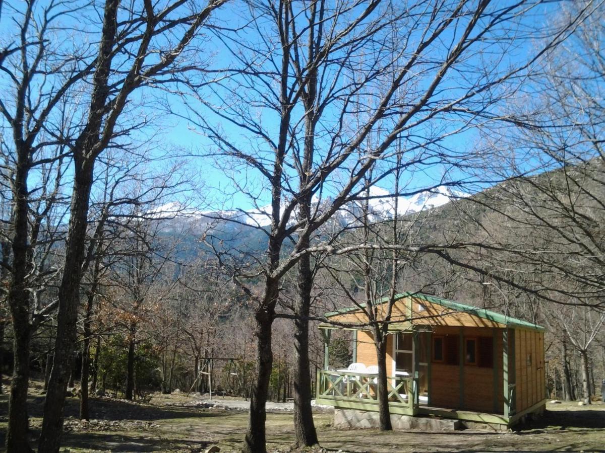Chalet De Caralba Piscine Ghisoni Exterior photo