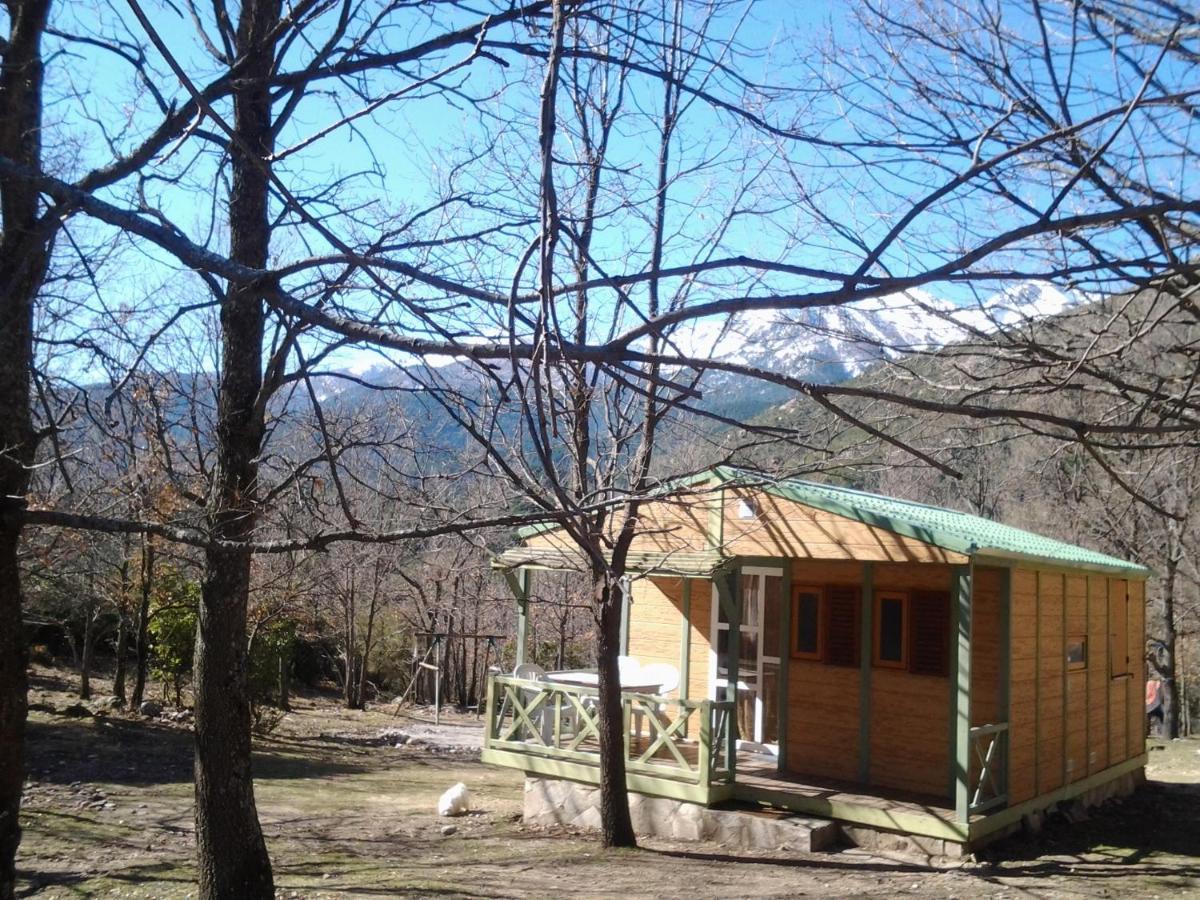 Chalet De Caralba Piscine Ghisoni Exterior photo