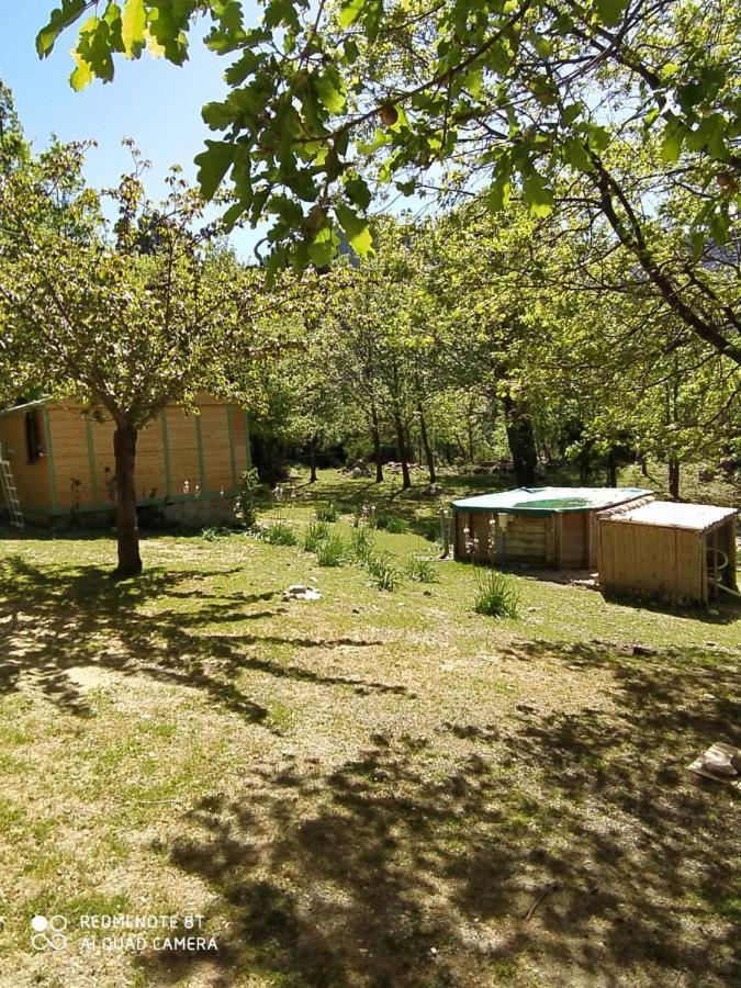 Chalet De Caralba Piscine Ghisoni Exterior photo
